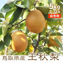 梨 【11月初旬出荷】 訳あり 王秋 5kg 7〜12玉入 梨 鳥取県産 おうしゅう 自宅用 産地直送 送料無料(北海道・沖縄を除く)