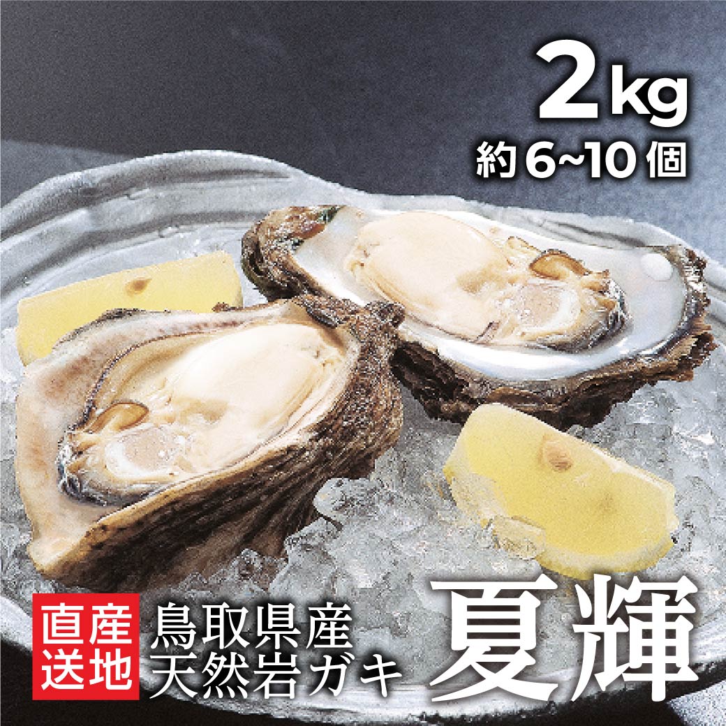 牡蠣 夏輝 2kg 産地直送 かき カキ 今が旬 ブランド 鳥取 海鮮 殻付き 季節もの 生食用 新鮮 鳥取県産 岩牡蠣 産地直送 岩ガキ 岩がき