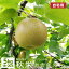 予約 梨 【8月下旬出荷】 訳あり 秋栄 5kg 18~20玉入 鳥取県産 梨 あきばえ 自宅用 送料無料(北海道・沖縄を除く) 5,280円