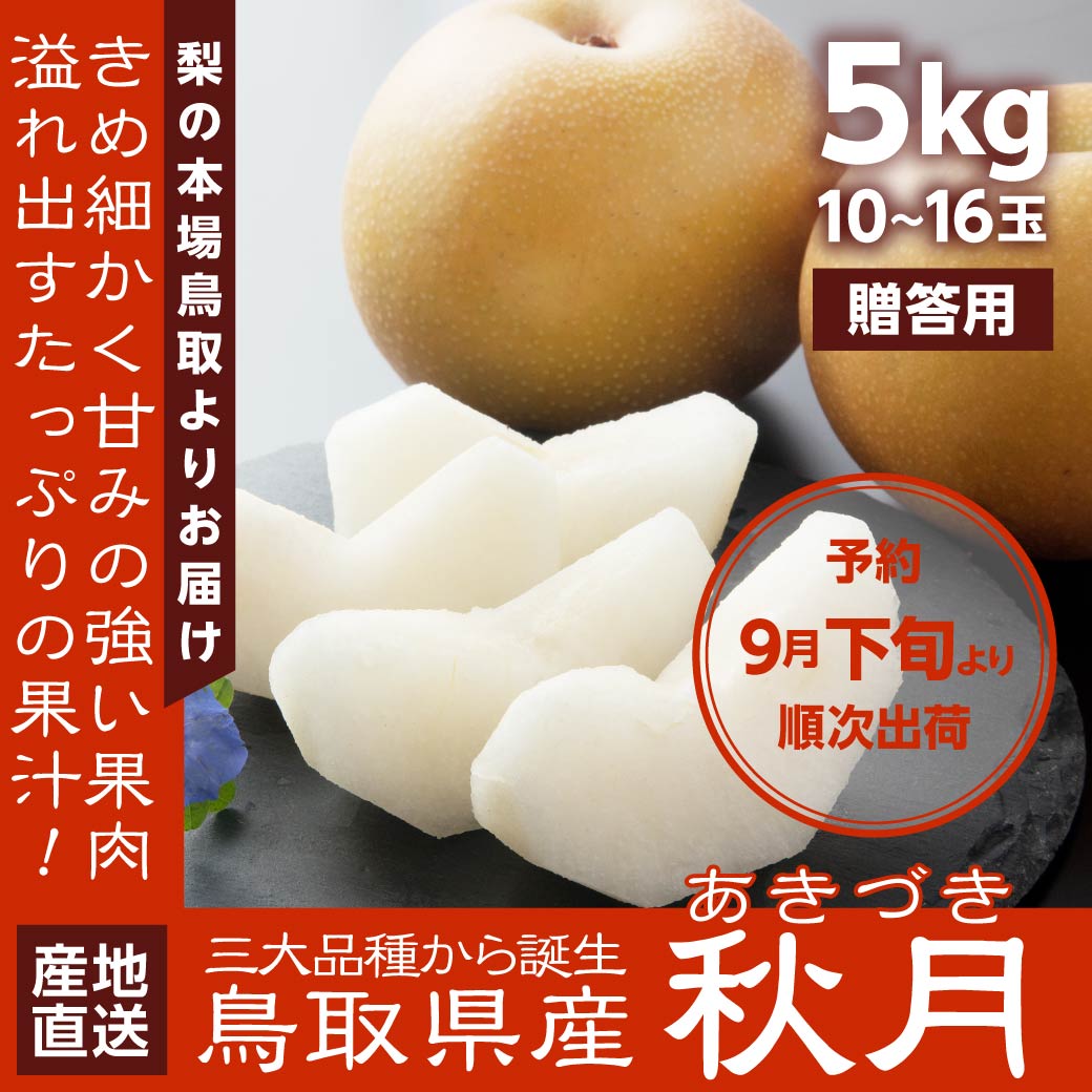 地元生産者応援企画 産地直送 梨 秋月 5kg 10~16玉入 鳥取県産 あきづき 贈答用 進物用 ギフト 送料無料（北海道・沖縄を除く）