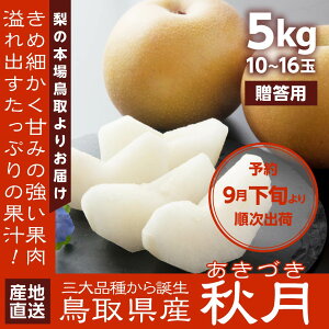 地元生産者応援企画 産地直送 梨 秋月 5kg 10~16玉入 鳥取県産 あきづき 贈答用 進物用 ギフト 送料無料（北海道・沖縄を除く）