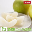 予約 梨 【9月中旬出荷】 訳あり 二十世紀梨 3kg 6~9玉入 梨 鳥取県産 20世紀梨 自宅用 産地直送 送料無料(北海道・沖縄を除く)