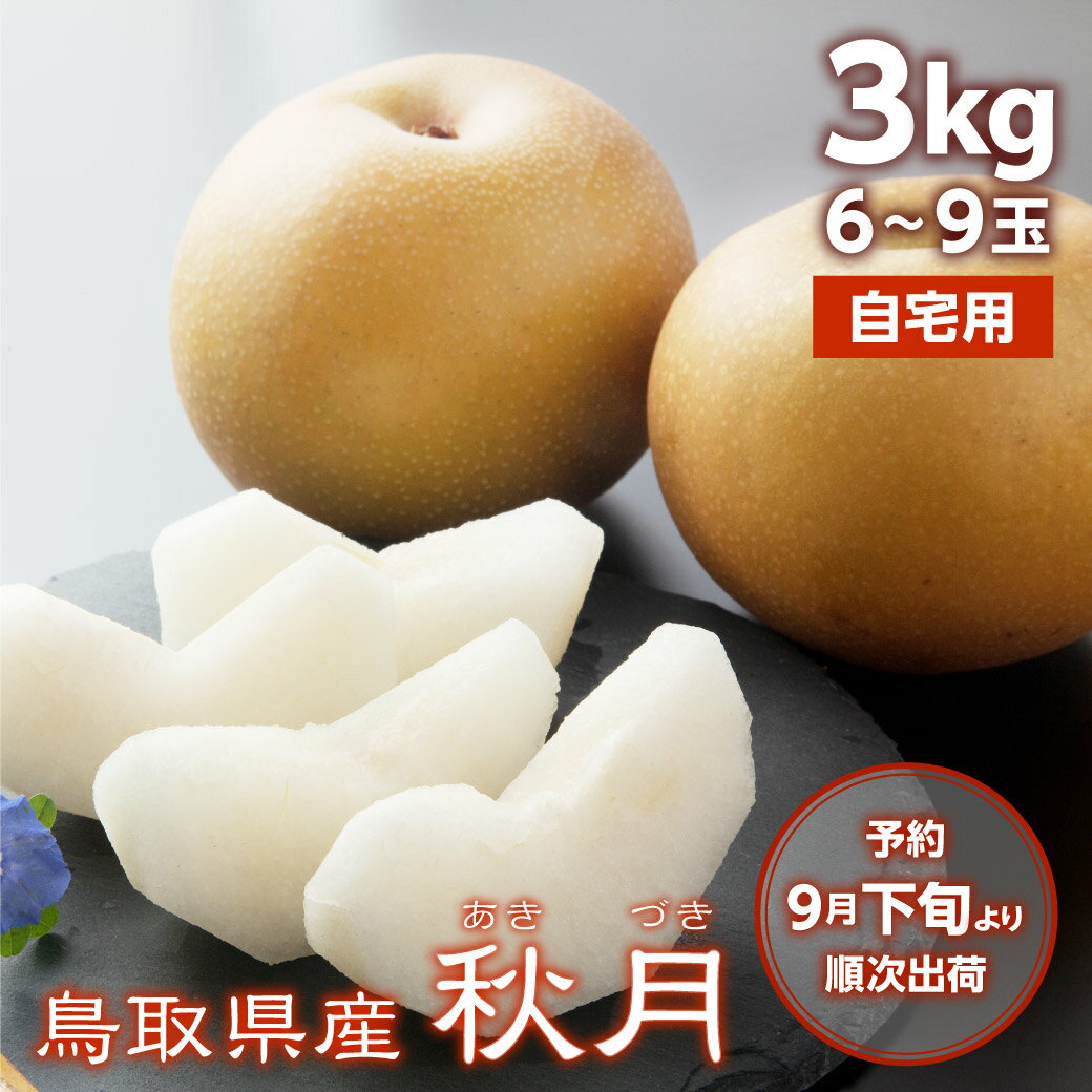 地元生産者応援企画 産地直送 予約 【訳あり】 梨 秋月 3kg 6~9玉入 鳥取県産 あきづき 自宅用 送料無料（北海道・沖縄を除く）