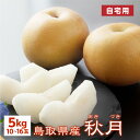 予約 梨 【9月下旬出荷】 訳あり 秋月 5kg 10~16玉入 鳥取県産 梨 あきづき 自宅用 送料無料(北海道・沖縄を除く)