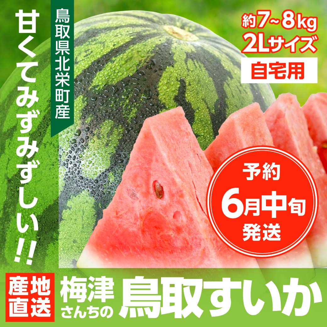 地元生産者応援企画 産地直送 鳥取スイカ 梅津さんちのスイカ 鳥取すいか 自宅用 2Lサイズ 約7~8kg 1玉 訳あり 糖度11以上 今が旬 鳥取県産 北栄町産 西瓜 特産 名産