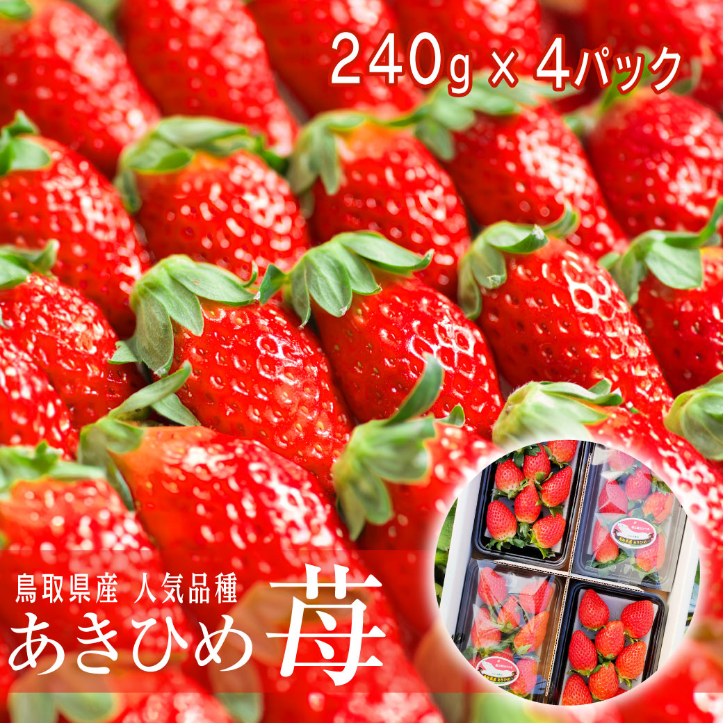 地元生産者応援企画 産地直送 今が旬！ イチゴ あきひめ 章姫 4P詰合せ 有機肥料使用 産地直送 いちご ブランド 苺 鳥取 送料無料（北海道・沖縄を除く）のサムネイル