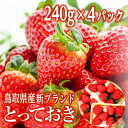 地元生産者応援企画 産地直送 今が旬！ イチゴ 鳥取県新ブランド苺 とっておき 4P詰合せ 有機肥料 ...