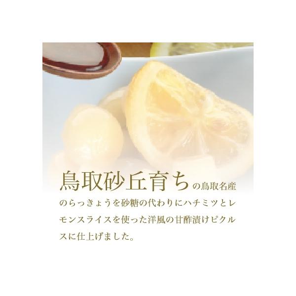 ��ä��礦 No3 �ȥåȥ��ä��礦 �ԥ��륹�ϥˡ�ݦݨ Ļ�� swance ��� �ȱ��ϥ��å� £���� ���ե� �ץ쥼��� ����̵��(�̳�ƻ���������)