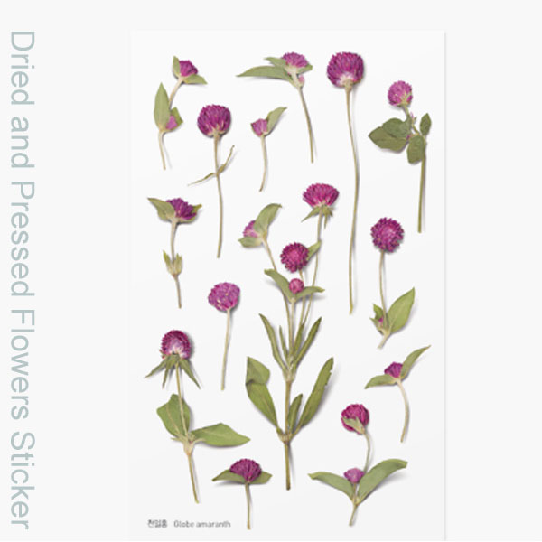 ( ドライフラワー風 ステッカー ) センニチコウ 押し花スタイルステッカー 【 商用利用可 】