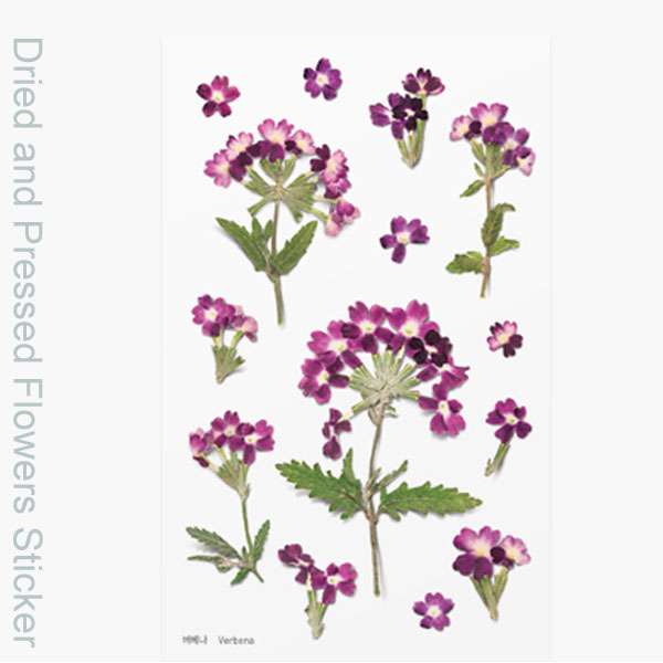 ( ドライフラワー風 ステッカー ) バーベナ 押し花スタイルステッカー 【 商用利用可 】