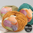 【 お取り寄せ 】( 毛糸 ) ◆2ページ目◆ スガマカロン 毛糸 Suga macaron │ 45g 66色