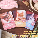 入浴剤 バスパウダー ネコモテ NEKOMOTE アロマ 3Pセット またたび 猫好き プチギフト リラックス 退職 転勤 お礼 女性 男性 クリスマス ホワイ...
