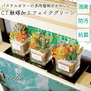 CT触媒 フェイクグリーン 造花 多肉植物 寄せ植え Sサイズ 小さめ パステルカラー かわいい 箱入り 観葉植物 消臭 抗菌 防汚 エクリア お手入れ不要 安...