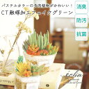 CT触媒 フェイクグリーン 造花 多肉植物 寄せ植え Lサイズ 小さめ パステルカラー かわいい 箱入り 観葉植物 消臭 抗菌 防汚 エクリア お手入れ不要 安...