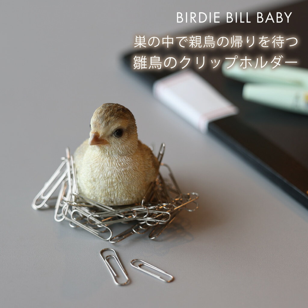 Ļ Ļ ֥ ʪ åץۥ Ȥ ȥ ƥꥢ 襤 ꥢ ץ쥼 ե      ...