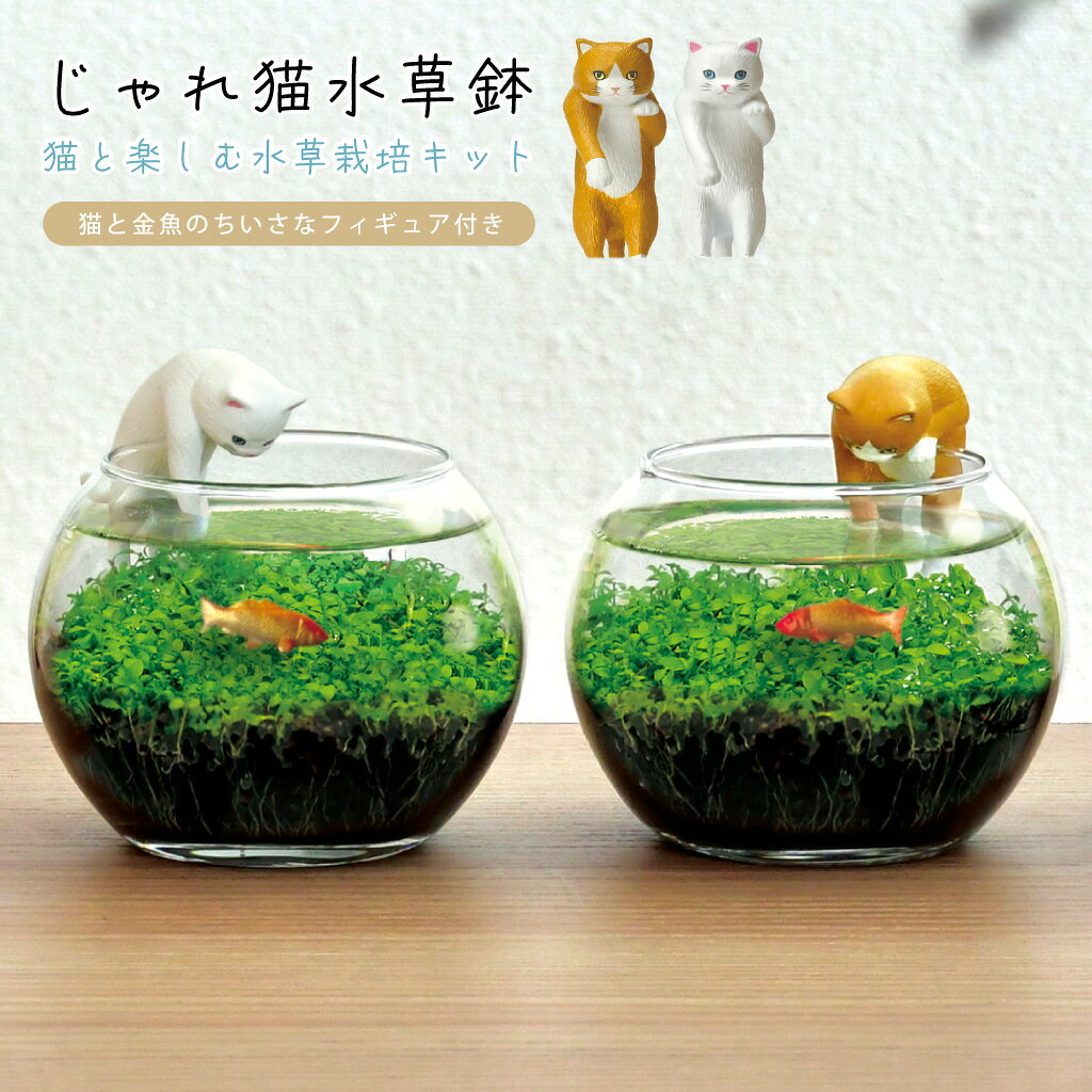 楽天市場】金魚 置物（花・ガーデン・DIY）の通販