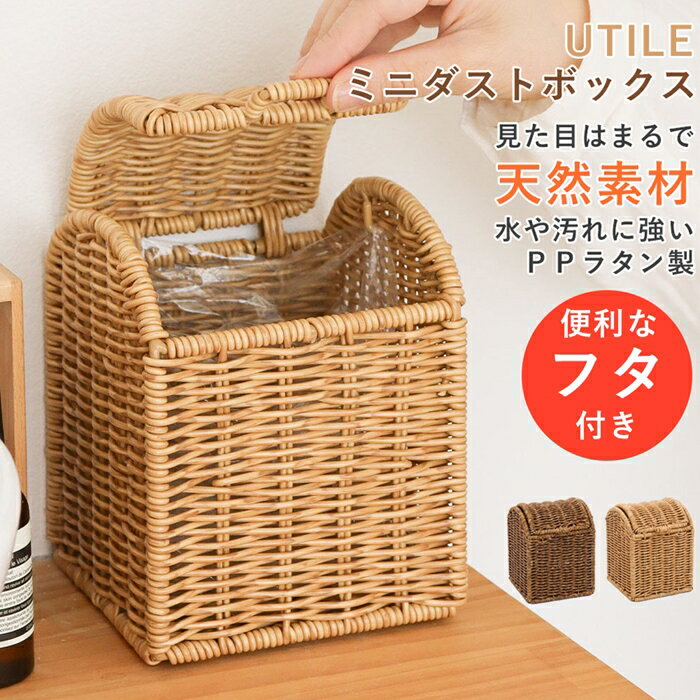 ダストボックス ミニ バスケット 蓋付き 収納ボックス ゴミ箱 キッチン 洗面 トイレ 収納 コンパクト ..