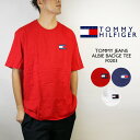 トミーヒルフィガー Tシャツ Tommy hilfiger TOMMY JEANS ALBIE BADGE TEE F0203 Red Navy White 半袖 メンズ 男性 プレゼント ギフト