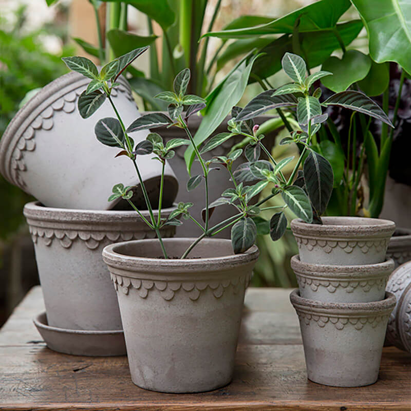 【サイズが増えました】Bergs Potter 植木鉢 Copenhagen グレー φ12cm 14cm 16cm 18cm 21cm 25cm 受皿付き 素焼き 底穴あり バーグスポッター コペンハーゲン 北欧 おしゃれ プランター フラワーポット 観葉植物 室内 丸型 鉢 かわいい ガーデニング 陶器鉢 デンマーク nest