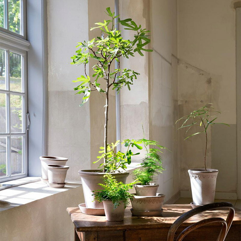 Bergs Potter 植木鉢 グレー Co...の紹介画像3