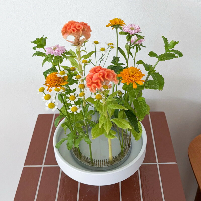 これは楽しい！お花の飾り方が広がる Hanataba（花束） は、スウェーデンのフローリスト一家によるブランドです。 プロ品質のフラワーアレンジメントを家庭で再現できる、画期的なグッズを世に送り出しています。 こちらは日本の生け花からインスピレーションを得た、というか、剣山そのものですが、リング状であることがポイントです。 中央に空間があるというだけで、すでにデザインされていて、誰でも簡単におしゃれに生けられるんですね。 お花を刺せる場所がリングの上だけなので迷う必要がなく、テキトーにぐるっと刺していくだけで、サマになります。 最初は均等に刺してみてください。 慣れてきたら、片側に偏らせてアシンメトリーにしたり、大胆に高低差を付けたり、あなたのアイデア次第で楽しみ方が広がります。 実際のお花の本数よりもボリュームがあるように見えるのもうれしいところ。 これはちょっと発明と言ってもいいくらいのアイデアかと思います。 どっしりと重量のある金属製ですから、太い枝や重めのお花を使っても安定しています。 広口で浅めの花器と組み合わせてお使いください。 さぁあなたも、今までにない新鮮なフラワー体験を試してみませんか♪ - 土台：鉛合金、ピン：真鍮 - 外径12 cm - 500 g - お手入れ：必要に応じてブラシを使い、やさしく水洗い - 完全に乾かしてから保管してください - 花器は付属しません　