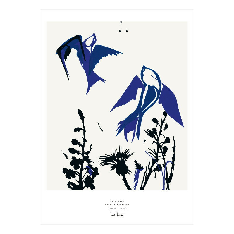 STILLEBEN 「鳥」アートプリントポスター 50x70cm 北欧 デンマーク