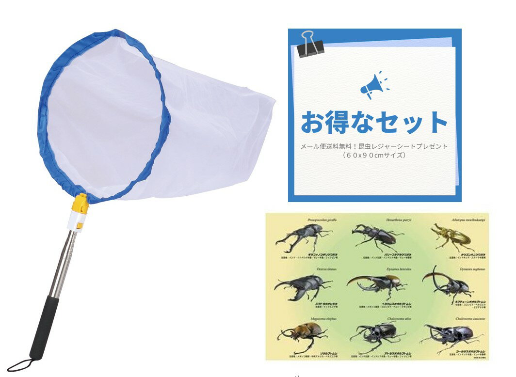 レジャーシート付♪【【メール便送料無料！】【かんたん伸び縮み♪アンテナ式ネット】ファンキーズ7号むし網　大