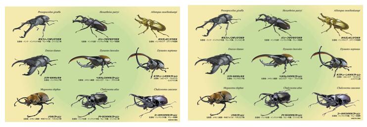 【メール便 送料無料 】昆虫レジャーシート（60x90cm）2枚組！！