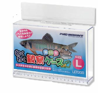 デジカメやスマホでの撮影に最適！わくわく観察ケースL20cmタイプのサムネイル