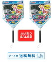 【わけあり品2本組】【メール便送料無料】かんたん伸び縮み♪ファンキーズ10号さかな迷彩柄 アンテナ式ネット