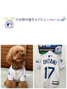 楽天Net-Assist　ネットアシスト【送料無料】大谷翔平 選手 野球 ロサンゼルス ドジャース MLB公認 大谷Tシャツ 犬用XS サイズ ホワイト 背番号17 ユニフォーム 犬の服 服 ペット服 ドッグウェア スポーツ 散歩 お出かけ オシャレ【犬服】【ペットグッズ】【犬用品】