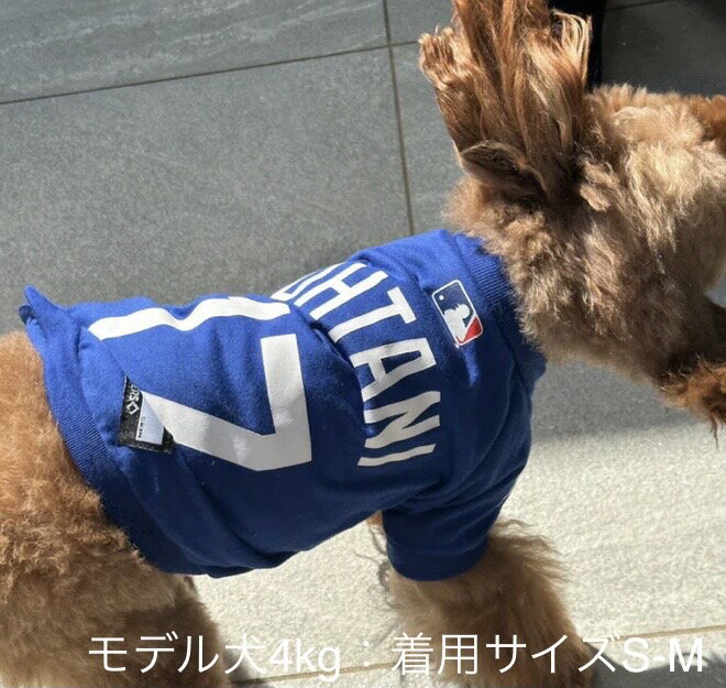 【送料無料】大谷翔平 選手 野球 ロサンゼルス ドジャース MLB公認 大谷Tシャツ 犬用XLサイズ ブルー 背番号17 ユニフォーム 犬の服 服 ペット服 ドッグウェア スポーツ 散歩 お出かけ オシャレ【犬服】【ペットグッズ】【犬用品】 3