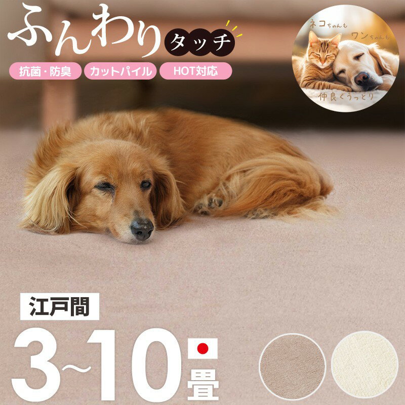 261 cm X 261 cm - 【先着10%OFFクーポン配布中★】 [ 敷き詰め カーペット ペットに優しい カットパイル 抗菌 防臭 日本製 江戸間 3畳/4.5畳/6畳/8畳/10畳 ] タフトカーペット 絨毯 じゅうたん ラグ 敷物 ペット用 おしゃれ かわいい シンプル 北欧 アイボリー ブラウン netc5