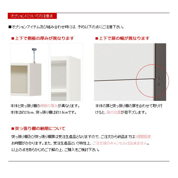 送料無料 日本製 pcd PCデスクラック用 突っ張り棚用扉 (幅60cmタイプ／天井高250〜259cm対応)木扉 上置き用 上置き棚用 上置棚用 壁面 棚 パソコンデスク PCデスク デスク 木製 白 収納 収納付き おしゃれ 北欧 モダン 大洋 netc5