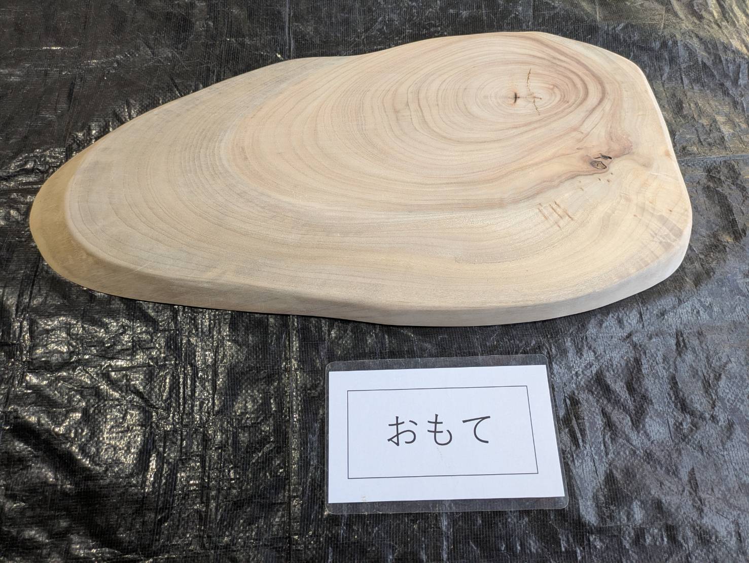 クス　輪切り板　サイズ：390～690程度（写真確認ください）厚み32　サンダー仕上...