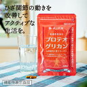【機能性表示食品】日常のひざ関節の動きの違和感を改善するプロテオグリカンACE - 膝 軟骨 サプリ、非変性2型コラーゲン、非変性II型コラーゲン、プロテオグリカン サプリ 膝関節 グルコサミン カニ エビ えび 魚由来 コラーゲン 非変性2型コラーゲン バリン ロイシン