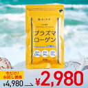 【新発売セール 通常4980円が2980円】プラズマローゲン1000μg 60粒(30日分) DHA126mg EPA14mg DNA17mg ホヤ由来 プラズ...
