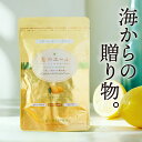 プロテタイト配合 海のエールチュアブル【100粒入 】I型コラーゲン&ミネラル配合サプリメント