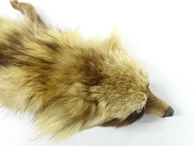 FOXショール【アンティーク】【中古】【着】