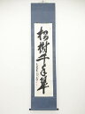 大徳寺立花大亀筆 「松樹千年翠」一行書 肉筆紙本掛軸(保護箱)【中古】【道】