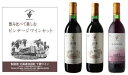 ワイン飲み比べセット 飲み比べセット 【山幸】【清舞】【セイオロサム】 白 赤 3本入り 十勝ワイン 有名 国産 国産ワイン 果実酒 アルコール 飲みやすい おすすめ 高級 人気 北海道 十勝 通販 熟成 池田ワイン 赤ワイン 白ワイン 贈答 プレゼント 数量限定 夏ギフト お中元 飲み比べ