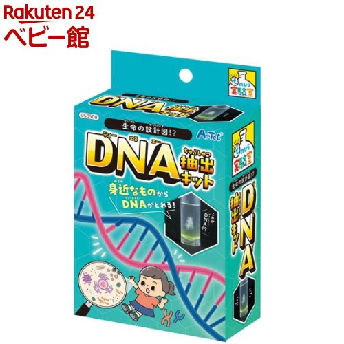 生命の設計図！？DNA抽出キット(1個)