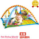 ★送料無料★ ジミニー・スーパーデラックスジム タイニーラブ TinyLove 日本育児 Nihonikuji おもちゃ・遊具・ベビージム・メリー ベビージム ...