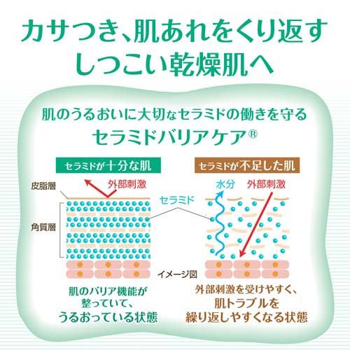ケアセラ 泡の高保湿ボディウォッシュ つめかえ用 特大(1000ml×8セット)【ケアセラ】