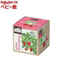 エコ栽培キット Re:Green ワイルドストロベリー(1個)