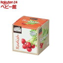 エコ栽培キット Re:Green ラディッシュ(1個)