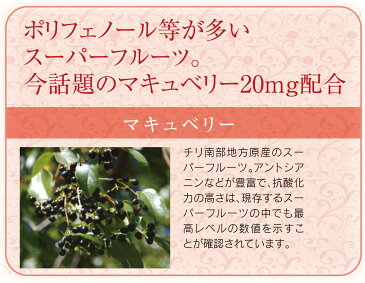 みどりむしFineプラスα　ミドリムシ(ユーグレナ)サプリメント　栄養素は59種類　東京大学共同研究開発・製造
