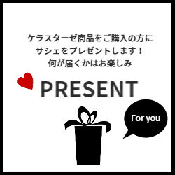 【★プレゼントつき★/ポイント10倍 / 正規品】ケラスターゼ クロマ アブソリュ バン クロマプロテクト 250ml KERASTASE正規販売店 3