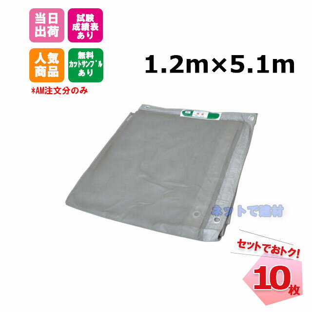 防炎メッシュシート 1.2m×5.1m (300P) 10枚 足場資材 足場 2類 ネットシート 建設 建築 工事用 KUS 現場用 解体 新築 改修 養生 塗装 目かくし 防炎認定 ハトメあり 飛散防止 防犯 防風 防砂 防雪 防虫 防鳥 獣害 グレー