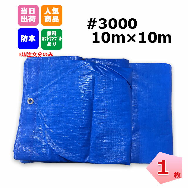 ブルーシート 10m×10m ＃3000 厚手 1枚 